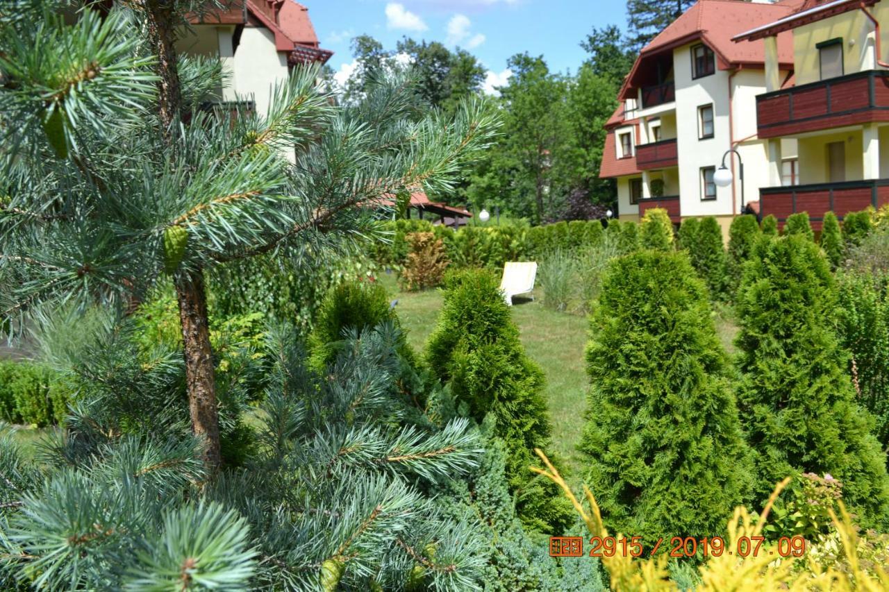 Apartament Parkowa Polana Z Ogrodem Daire Polanica-Zdroj Dış mekan fotoğraf